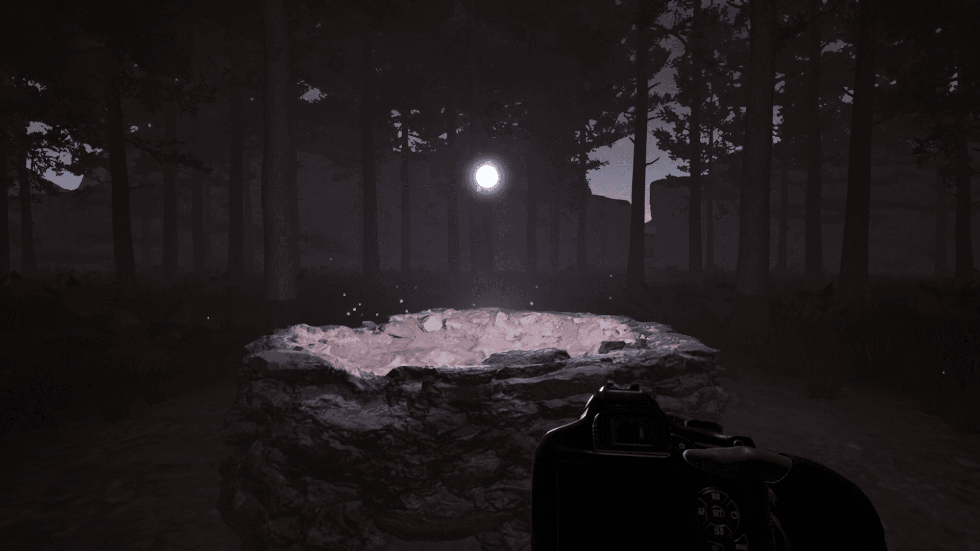 The Wishing Well screenshot 2